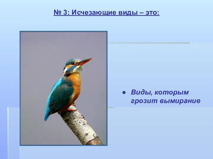 № 3: Исчезающие виды – это: Виды, которым грозит вымирание