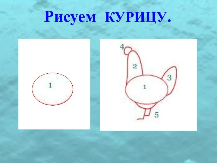 Рисуем КУРИЦУ.