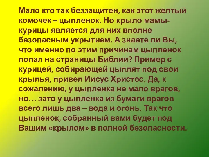 Мало кто так беззащитен, как этот желтый комочек – цыпленок.