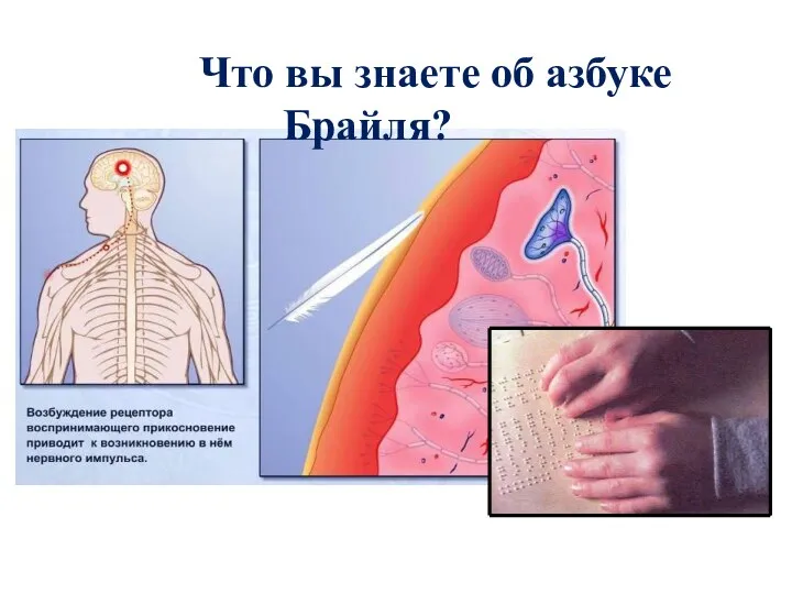 Что вы знаете об азбуке Брайля?