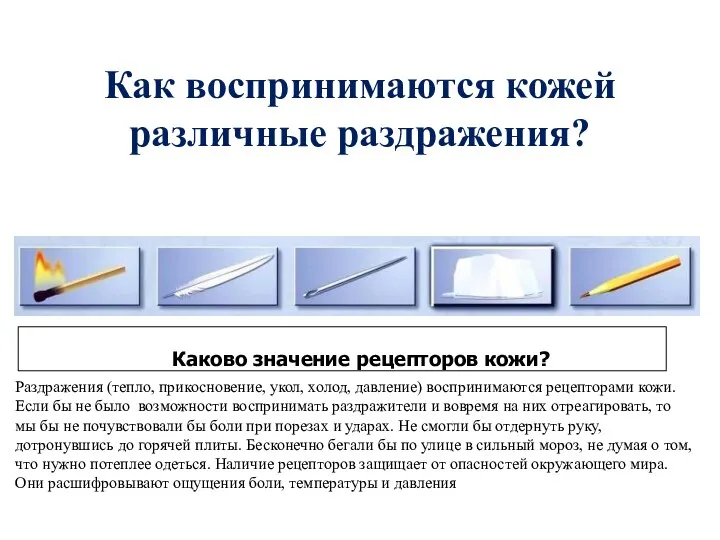 Как воспринимаются кожей различные раздражения? Каково значение рецепторов кожи? Раздражения