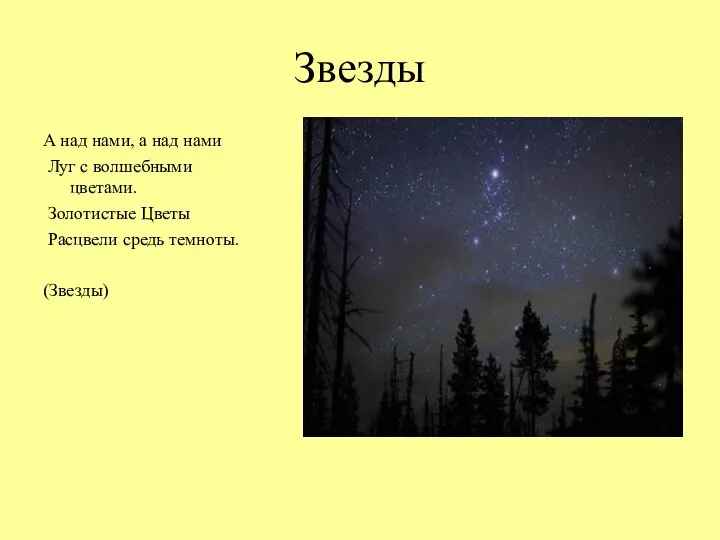 Звезды А над нами, а над нами Луг с волшебными цветами. Золотистые Цветы