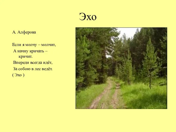 Эхо А. Алферова Если я молчу – молчит, А начну кричать – кричит.