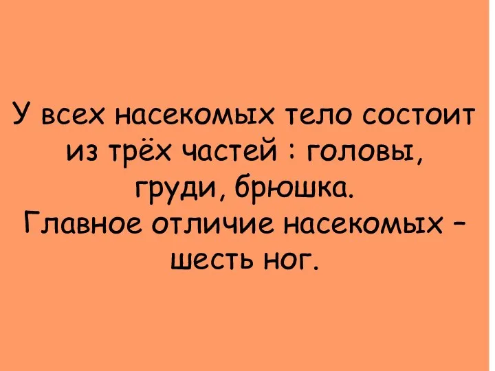 У всех насекомых тело состоит из трёх частей : головы, груди, брюшка. Главное