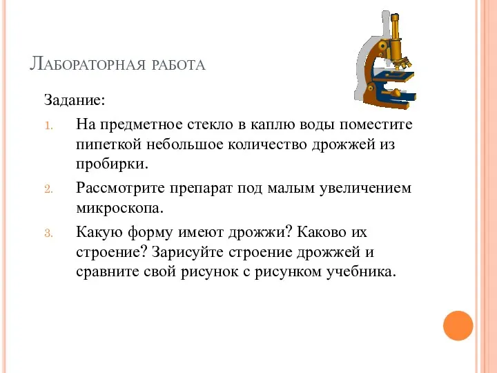 Лабораторная работа Задание: На предметное стекло в каплю воды поместите