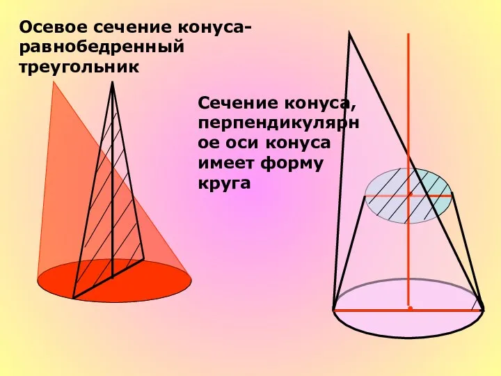 Осевое сечение конуса-равнобедренный треугольник Сечение конуса, перпендикулярное оси конуса имеет форму круга