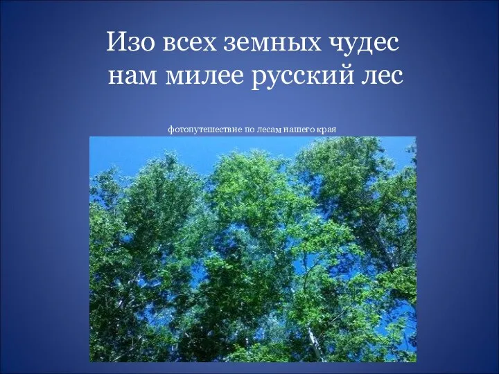 Изо всех земных чудес нам милее русский лес