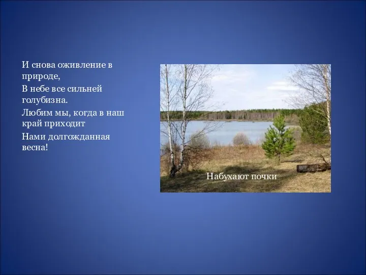 И снова оживление в природе, В небе все сильней голубизна.