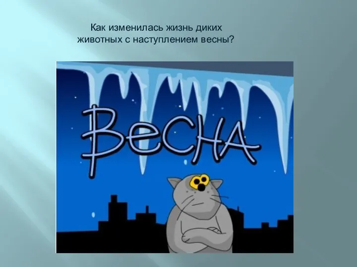 Как изменилась жизнь диких животных с наступлением весны?