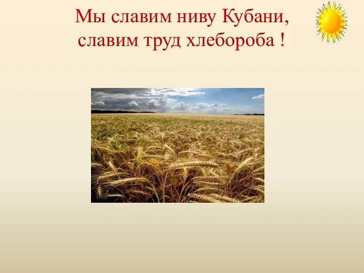 Мы славим ниву Кубани, славим труд хлебороба !