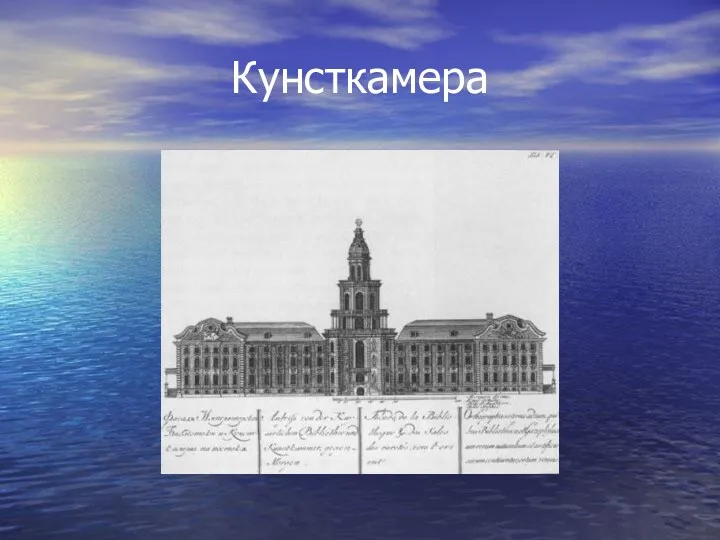 Кунсткамера