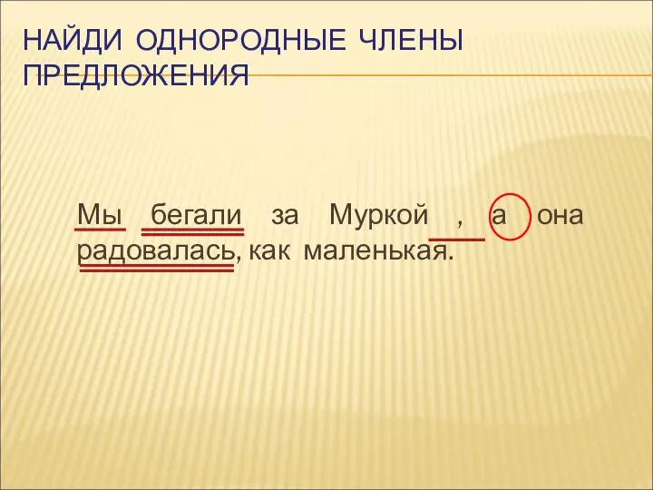 Мы бегали за Муркой , а она радовалась, как маленькая. НАЙДИ ОДНОРОДНЫЕ ЧЛЕНЫ ПРЕДЛОЖЕНИЯ