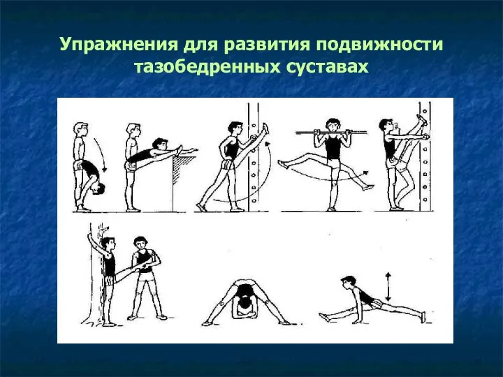 Упражнения для развития подвижности тазобедренных суставах