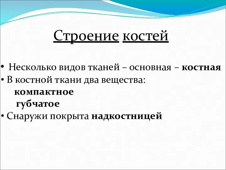 Строение костей Несколько видов тканей – основная – костная В