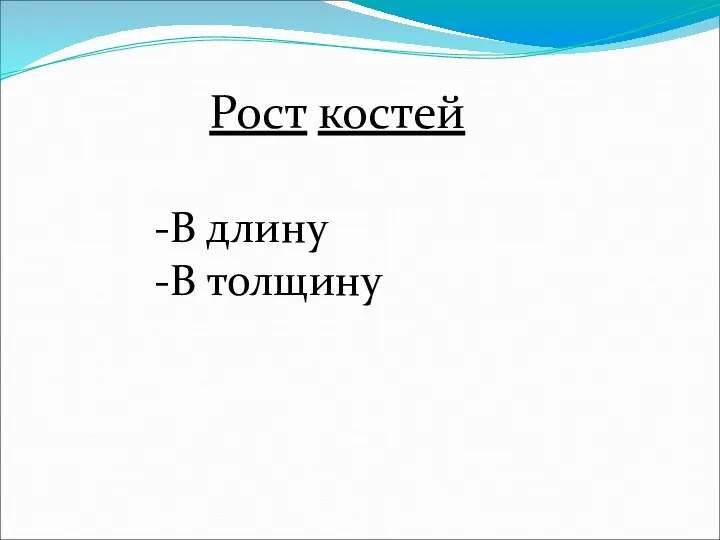 Рост костей В длину В толщину