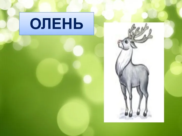 ОЛЕНЬ