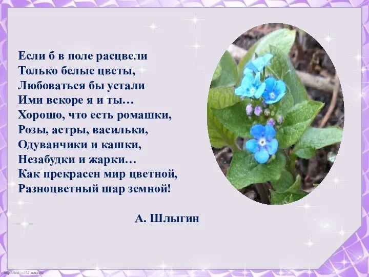 Если б в поле расцвели Только белые цветы, Любоваться бы