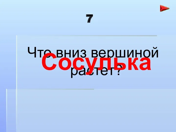 7 Что вниз вершиной растет? Сосулька