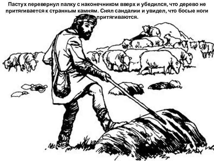 Пастух перевернул палку с наконечником вверх и убедился, что дерево