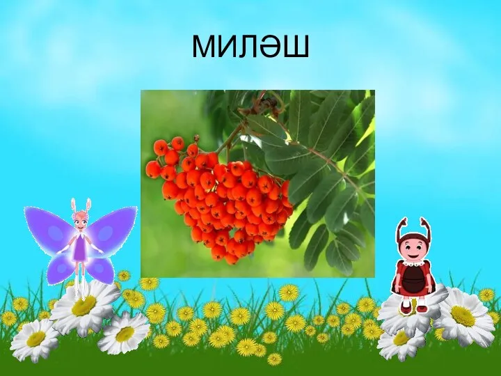 МИЛӘШ