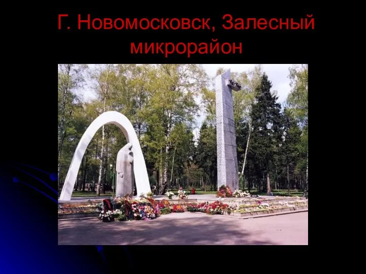 Г. Новомосковск, Залесный микрорайон