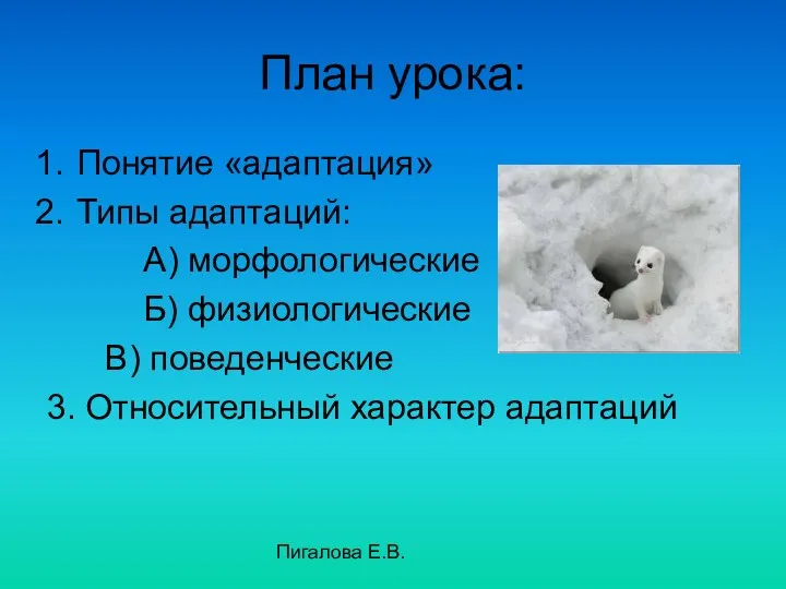 Пигалова Е.В. План урока: Понятие «адаптация» Типы адаптаций: А) морфологические