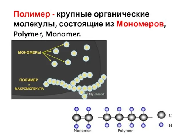 Полимер - крупные органические молекулы, состоящие из Мономеров, Polymer, Monomer.
