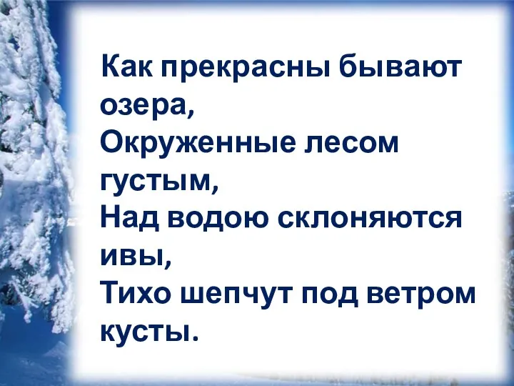 Как прекрасны бывают озера, Окруженные лесом густым, Над водою склоняются ивы, Тихо шепчут под ветром кусты.