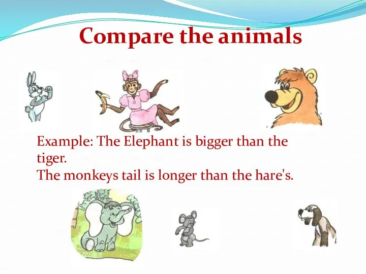 Example: The Elephant is bigger than the tiger. The monkeys
