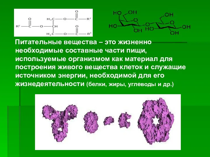 Питательные вещества – это жизненно необходимые составные части пищи, используемые