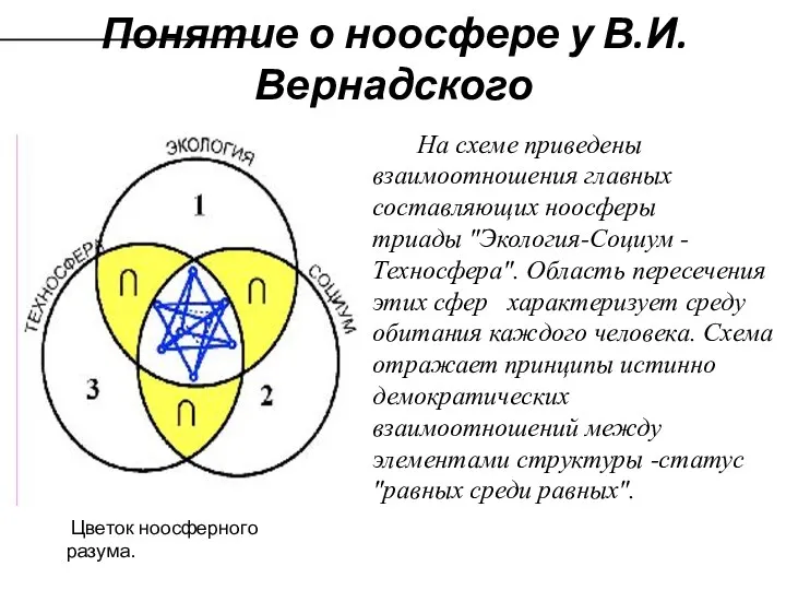 Понятие о ноосфере у В.И. Вернадского Цветок ноосферного разума. На