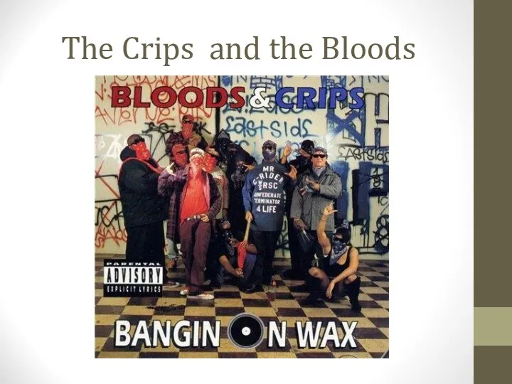 The Crips and the Bloods