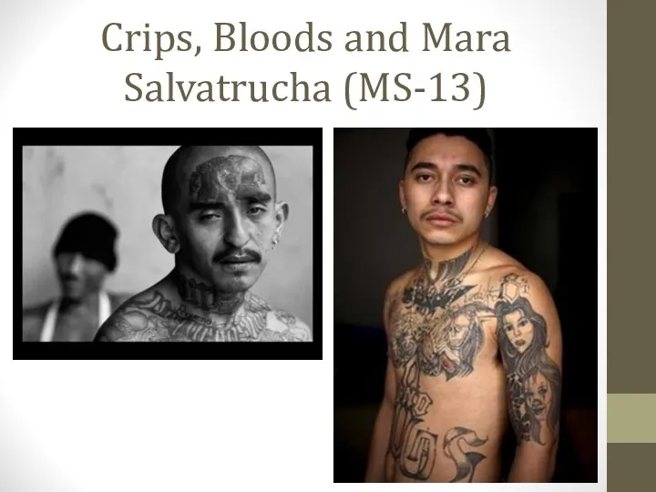 Crips, Bloods and Mara Salvatrucha (MS-13)