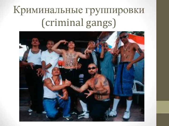 Криминальные группировки (criminal gangs)