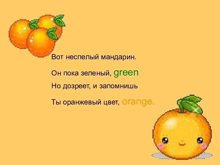 Вот неспелый мандарин. Он пока зеленый, green Но дозреет, и запомнишь Ты оранжевый цвет, orange.