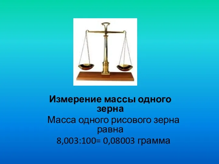 Измерение массы одного зерна Масса одного рисового зерна равна 8,003:100= 0,08003 грамма