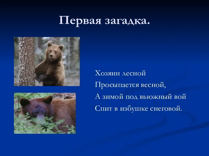 Первая загадка. Хозяин лесной Просыпается весной, А зимой под вьюжный вой Спит в избушке снеговой.