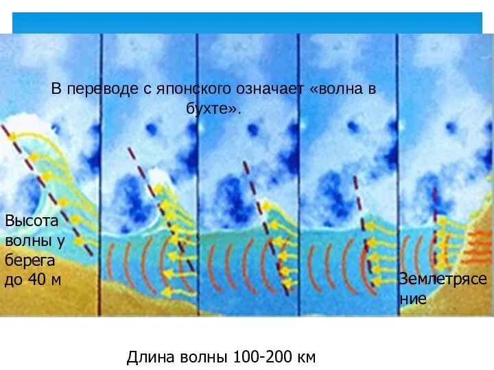 В переводе с японского означает «волна в бухте». Землетрясение Высота волны у берега