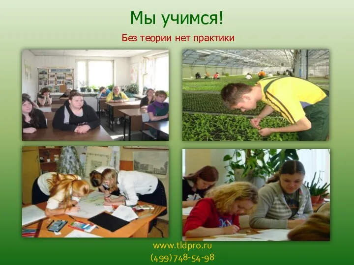 www.tldpro.ru (499) 748-54-98 Мы учимся! Без теории нет практики