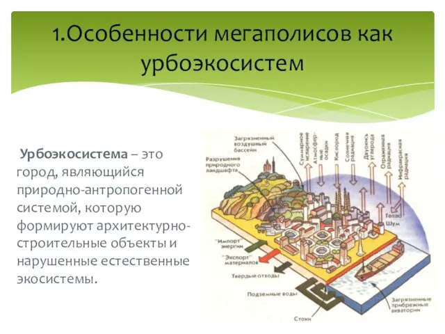 Урбоэкосистема – это город, являющийся природно-антропогенной системой, которую формируют архитектурно-строительные