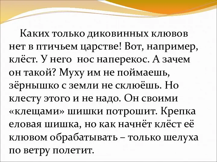 Каких только диковинных клювов нет в птичьем царстве! Вот, например,