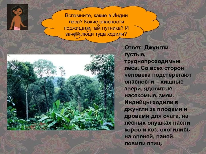 Вспомните, какие в Индии леса? Какие опасности поджидали там путника? И зачем люди