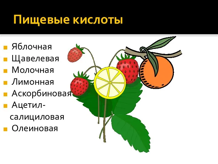 Пищевые кислоты Яблочная Щавелевая Молочная Лимонная Аскорбиновая Ацетил- салициловая Олеиновая