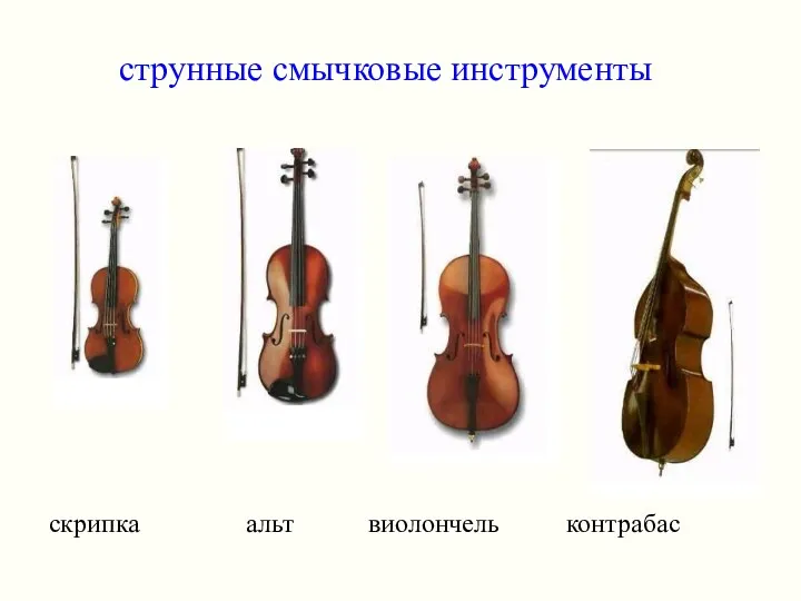 струнные смычковые инструменты скрипка альт виолончель контрабас