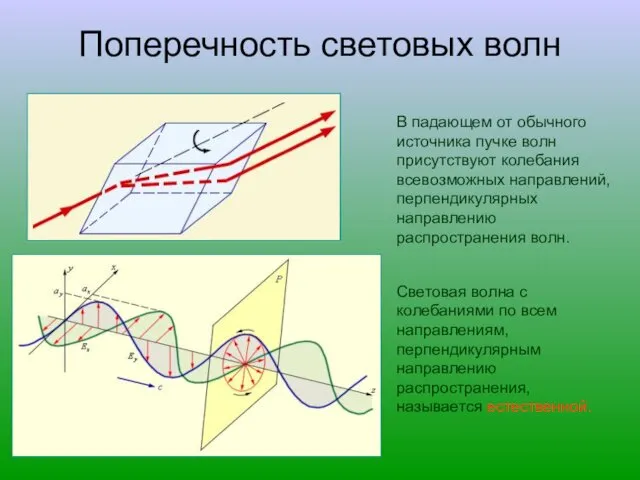 Поперечность световых волн В падающем от обычного источника пучке волн