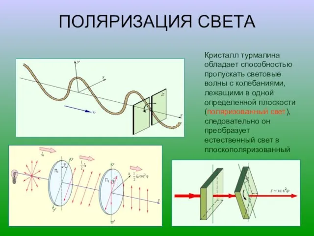 ПОЛЯРИЗАЦИЯ СВЕТА Кристалл турмалина обладает способностью пропускать световые волны с