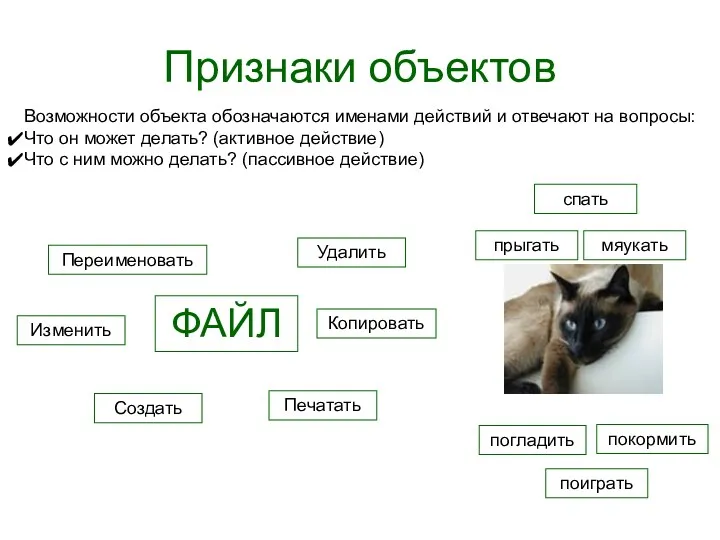 Признаки объектов Возможности объекта обозначаются именами действий и отвечают на