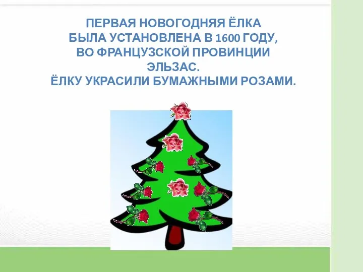 Первая новогодняя ёлка Была установлена в 1600 году, Во французской провинции Эльзас. Ёлку украсили бумажными розами.