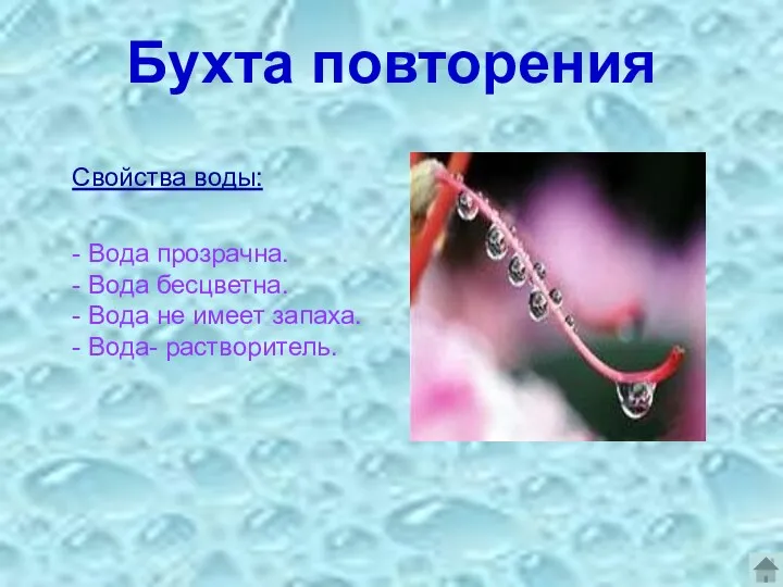 Бухта повторения Свойства воды: - Вода прозрачна. - Вода бесцветна.