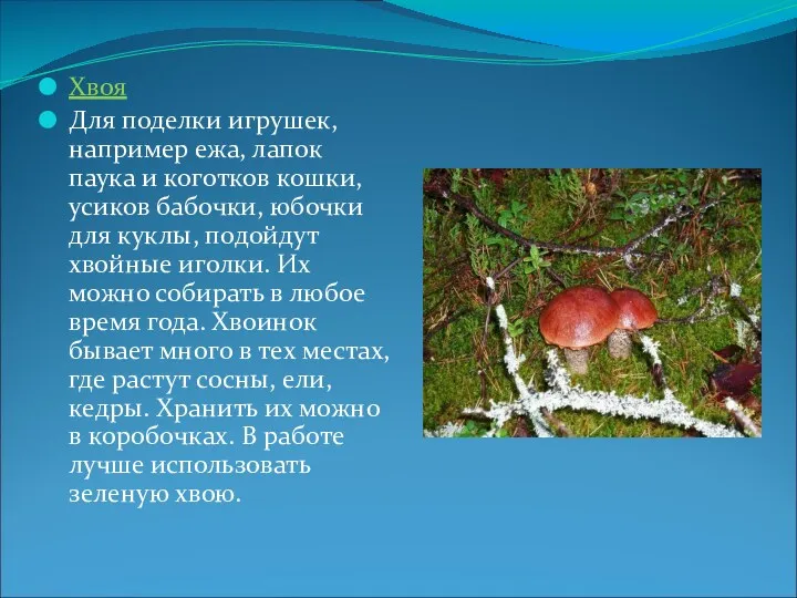 Хвоя Для поделки игрушек, например ежа, лапок паука и коготков